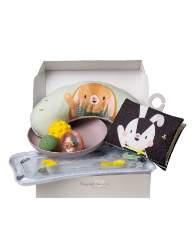 Taf Toys - Tummy-time kit