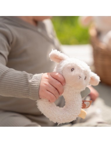 Little dutch - Rammelaar Schaap Little Farm