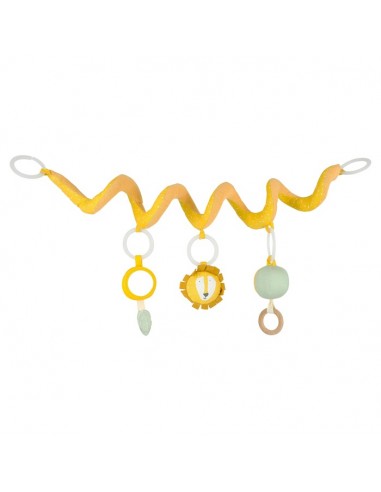 Activity spiral - Mr. Lion