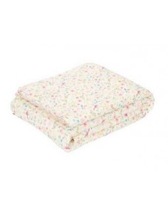 Little Dutch - Ledikantdeken Fairy Wonders