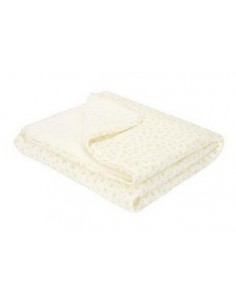 Little Dutch - Wiegdeken Blueberry Leaves