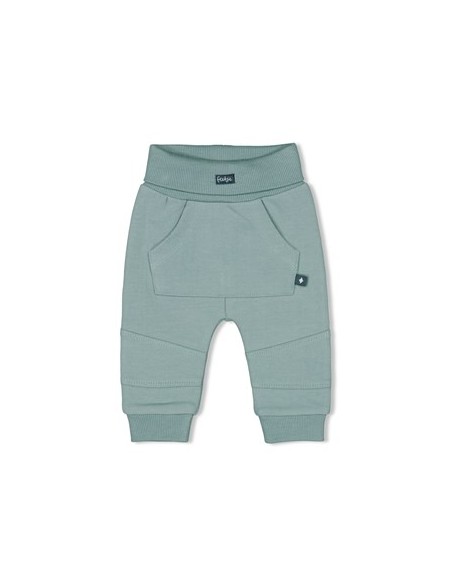 Feetje Broek animals - Petrol