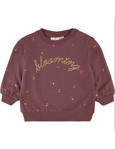 The New trui rose brown 'blooming'