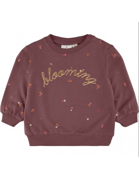 The New trui rose brown 'blooming'