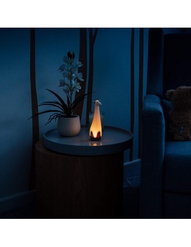 ZAZU - Torch - Gina Grey