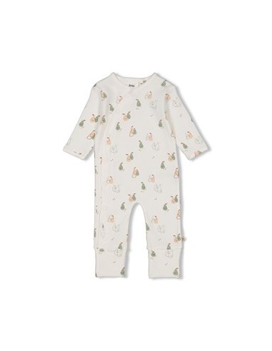 Feetje Boxpak AOP - Pears