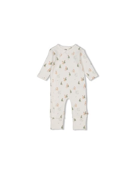 Feetje Boxpak AOP - Pears