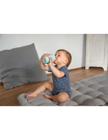 Sippy Cup, Little Chums Dog