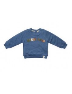 Little Dutch trui - Little farm