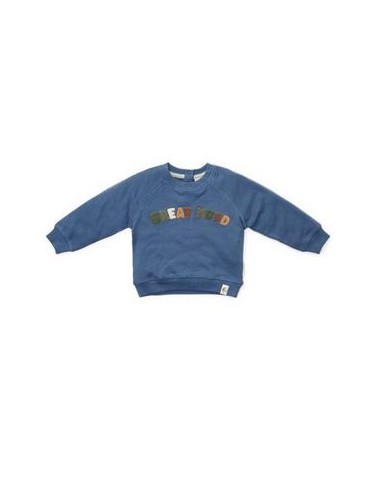 Little Dutch trui - Little farm