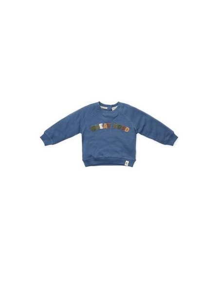 Little Dutch trui - Little farm