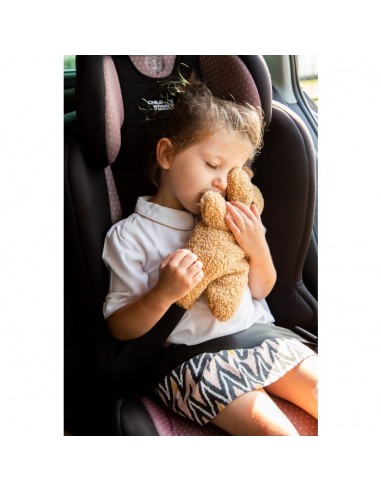 Gordelkussen - Teddy bruin